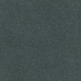 PARLA GRANITE BLACK EXTERNAL 600X600X20(PA684-20)